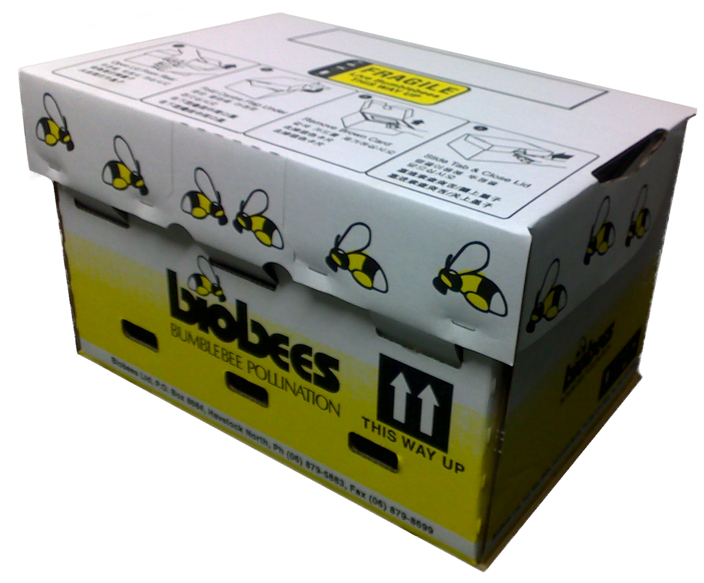 Turbo Bumblebee Hive - Available in Spring (or on 2 week request)