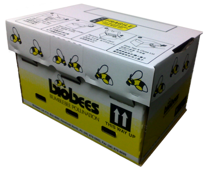 Turbo Bumblebee Hive - Available in Spring (or on 2 week request)